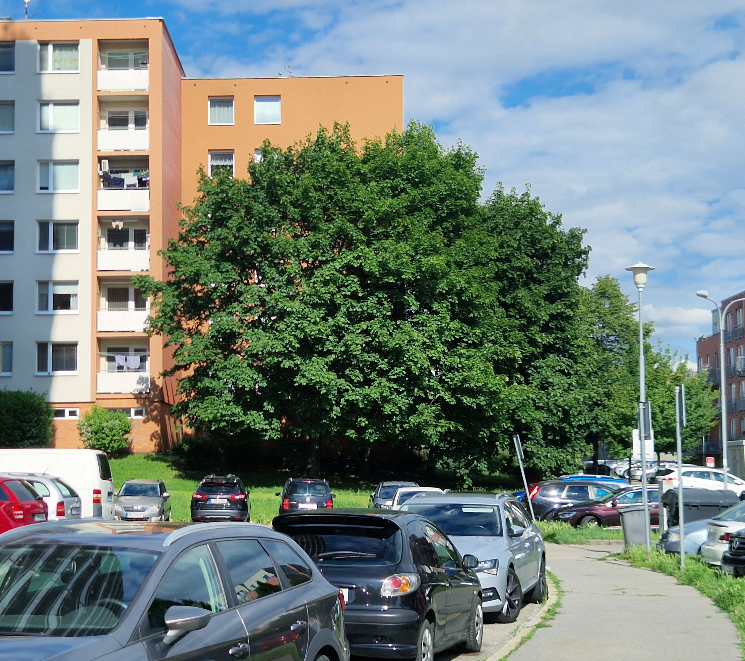 Prodej bytu 3+1 Zlín Na Honech I - 3